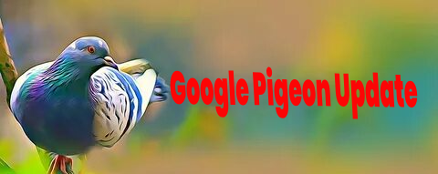 Google Pigeon Update