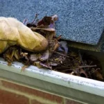 Gutter Cleaning Ferntree Gully