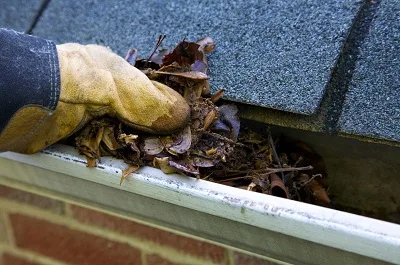 Gutter Cleaning Ferntree Gully