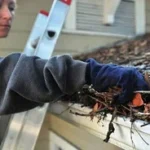 Gutter Cleaning South Yarra