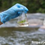 Coagulation in Water Treatment