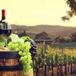 Local Tours