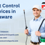 Pest Control in Newark: A Homeowner’s Guide to Safe & Smart Solutions