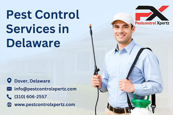 Pest Control in Newark: A Homeowner’s Guide to Safe & Smart Solutions