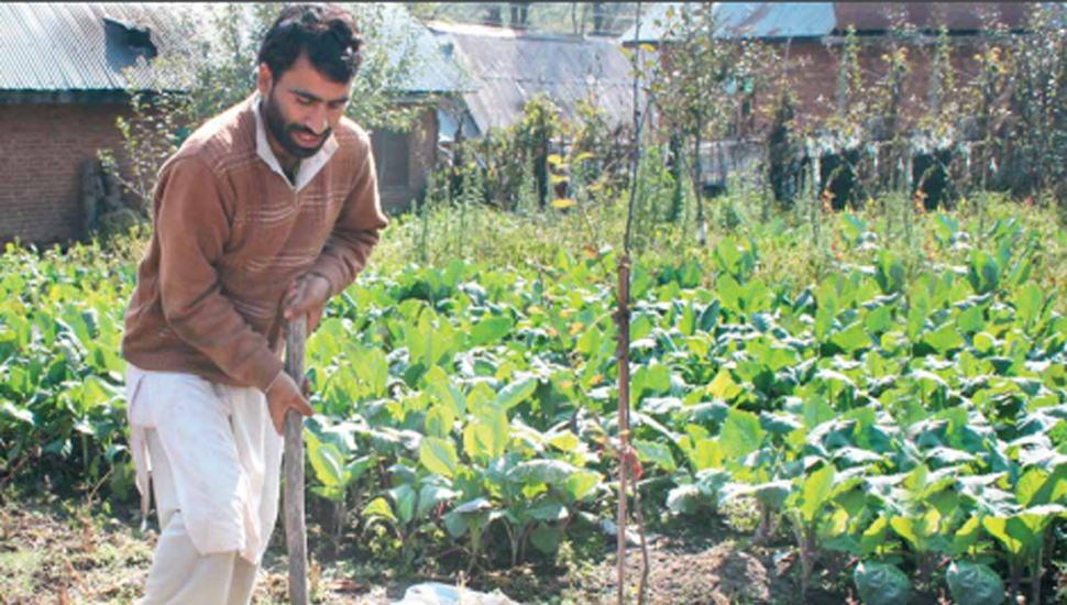 How to Improve Agricultural Growth in Uttar Pradesh