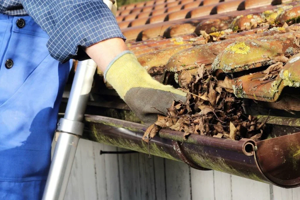 Gutter Cleaning Burwood East