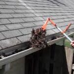 gutter cleaning in Heathmont