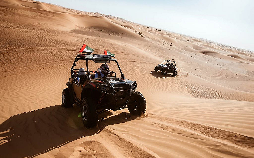 What to Expect: Dune Buggy Experience with Pickup