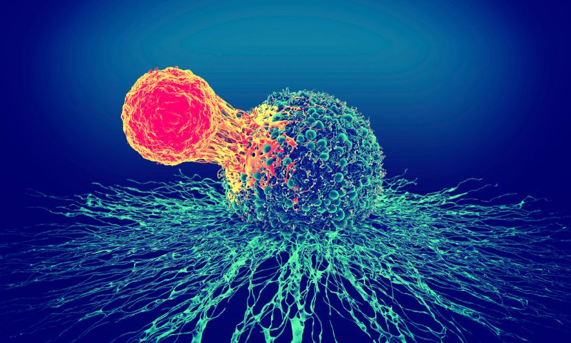 Cell Therapy Market