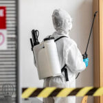 Expert Rat and Mouse Control in Ayrshire