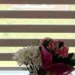Stylish Zebra Blinds