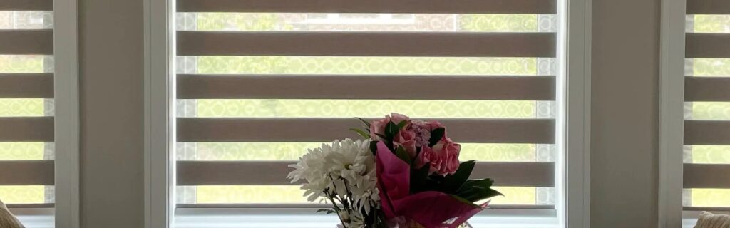 Stylish Zebra Blinds