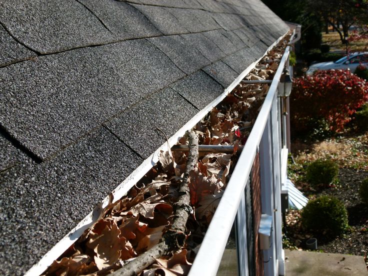 gutter cleaning Balwyn