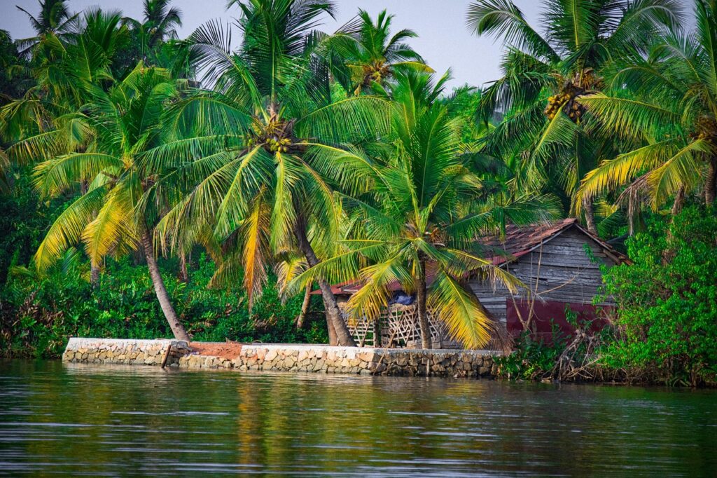 11 days south india tour