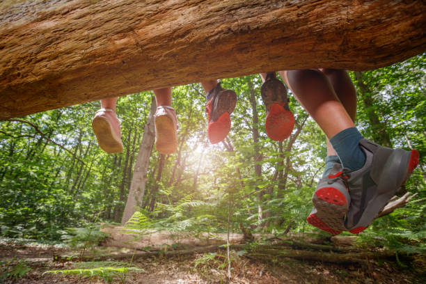 summer camps in new jersey 2025