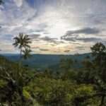 Kochi Munnar Periyar Allepey Kovalam 8 Days Tour