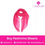 pashmina shawls