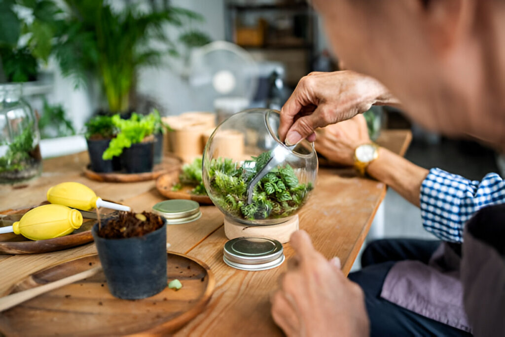 A Complete Beginner’s Guide to Terrariums in Singapore