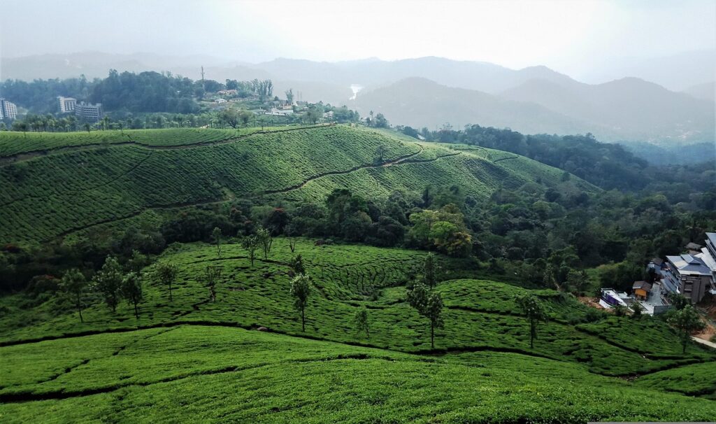16 Days South India with Kerala Backwaters