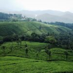 16 Days South India with Kerala Backwaters