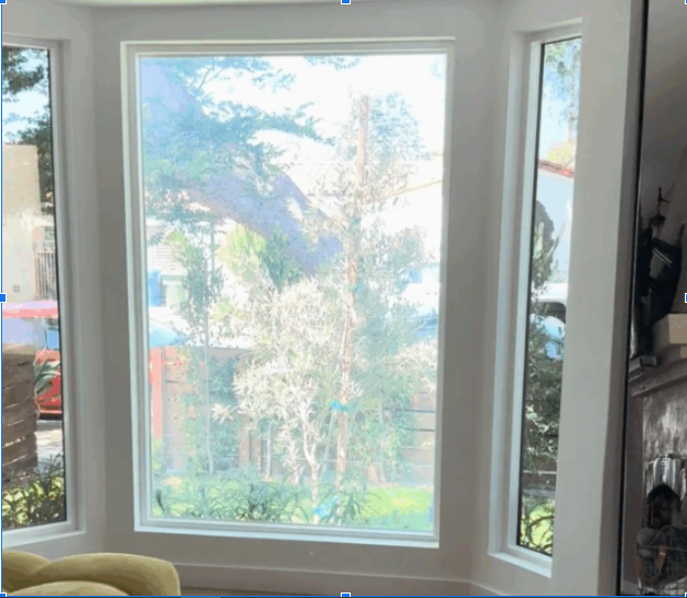 Sunlight filtering through large bay windows with a view of trees and residential neighborhood outside.