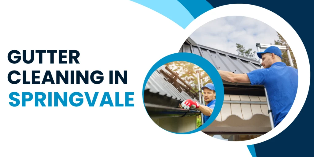 gutter cleaning in Springvale