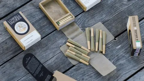 The Future of Hemp Pre-Roll Boxes in Modern Packaging Markets