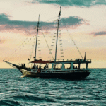 Best Place to Find Sunfish Sail for Sale – The Sail Store Guide