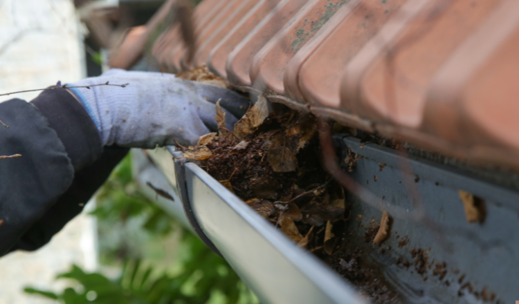 Gutter Cleaning in Kingsbury
