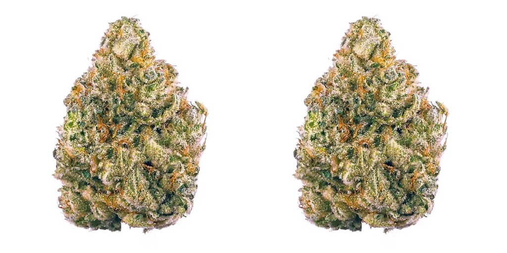 Top 5 Reasons to Choose a Dispensary in Richmond VA for Your Cannabis Needs