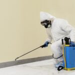 Affordable South Lanarkshire Pest Control for Lasting Results