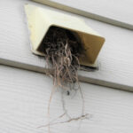 Cape Coral Dryer Vent Cleaning