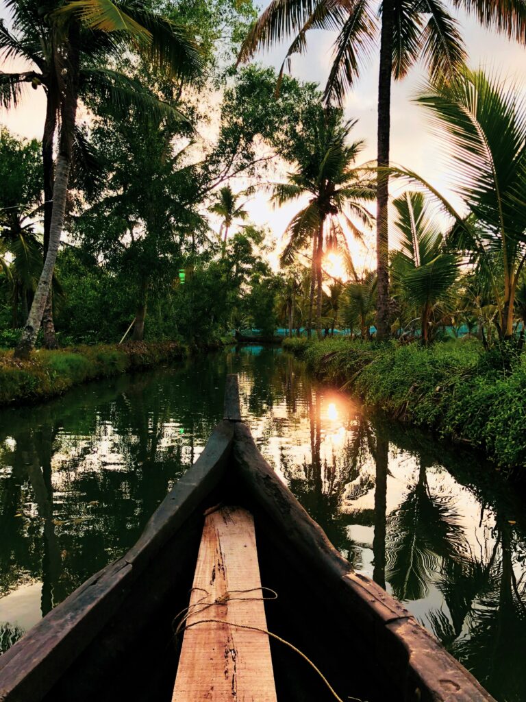 Begin Your Forever with Kerala Honeymoon Packages: Backwaters, Hills, and Coastal Romance