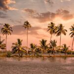 6 Days Kochi Munnar Thekkady Alleppey Tour