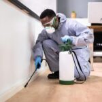 Pest Control Services in Dubai: A Complete Guide for Residents and Businesses