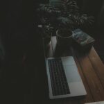 Shopify eCommerce Development Services to Grow Your Online Store