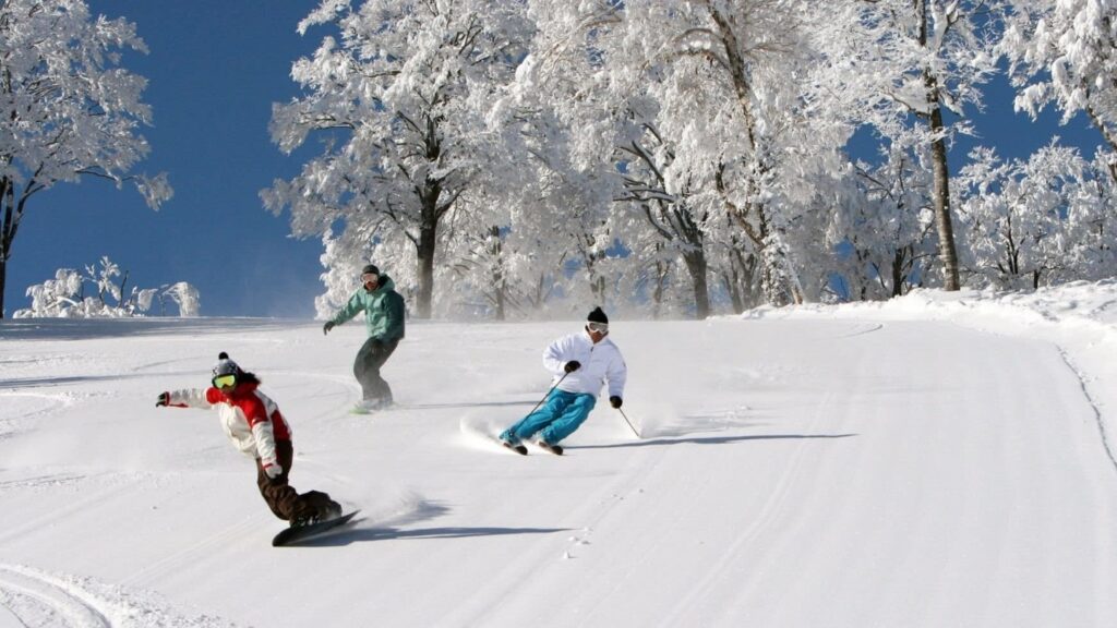 Japan snowboarding trip