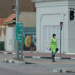 Pest Control Services in Dubai