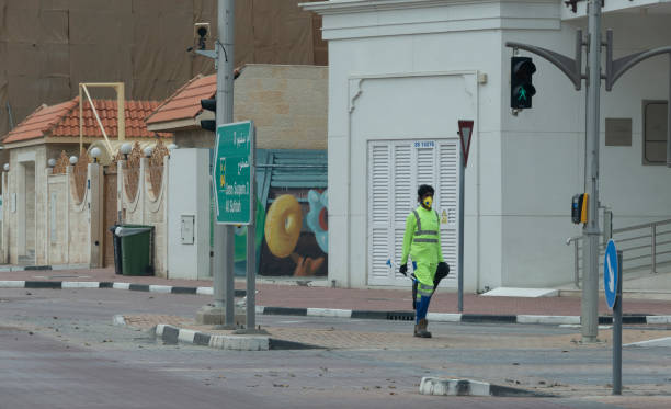 Pest Control Services in Dubai