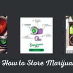 How to Store Marijuana: Everything You Need to Know