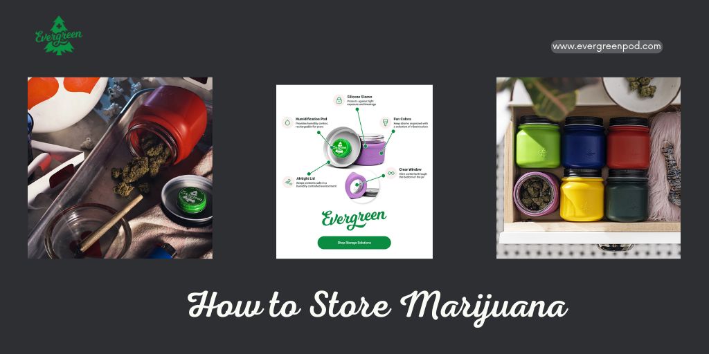 How to Store Marijuana: Everything You Need to Know