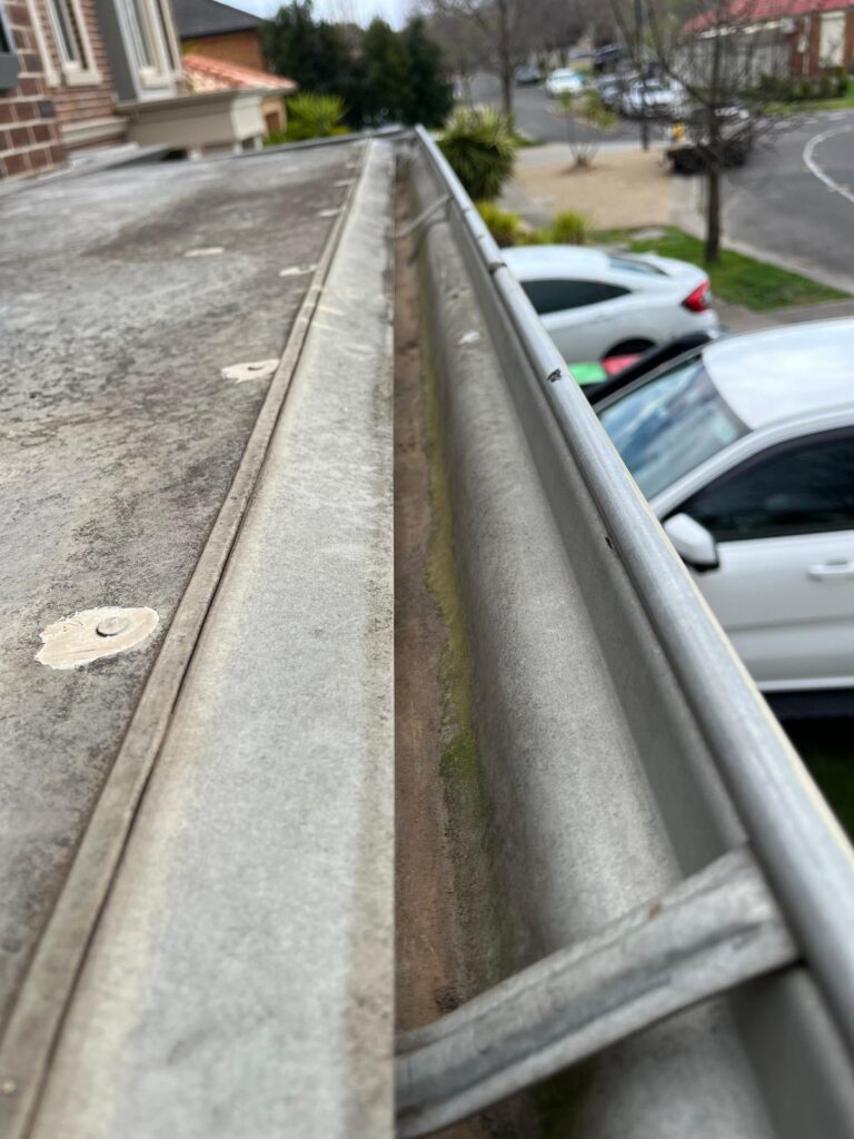 Professional Gutter Cleaning Belmont – Reliable Local Gutter Care Experts