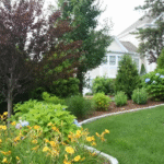 Lawn Maintenance Service Cape Cod