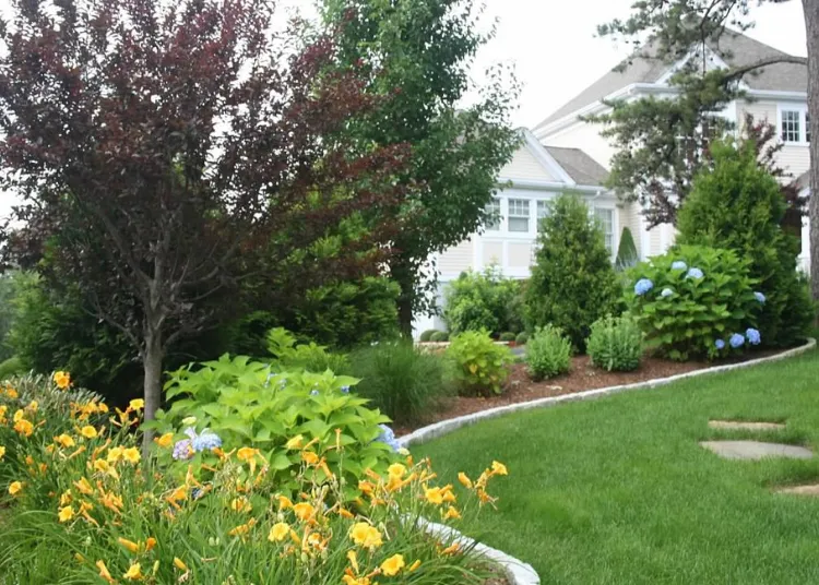 Lawn Maintenance Service Cape Cod