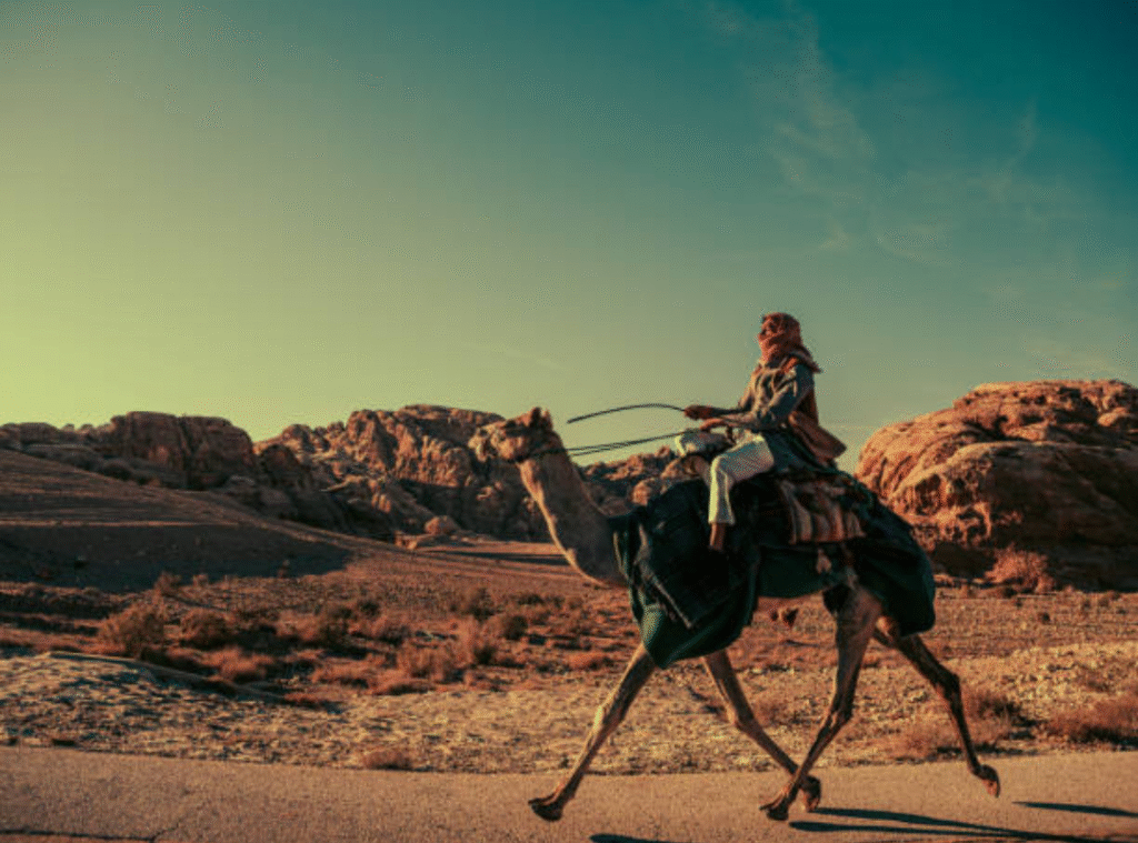 Desert Travel Guide Inspired By Wild Camel TV