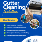 Gutter Cleaning Fyansford