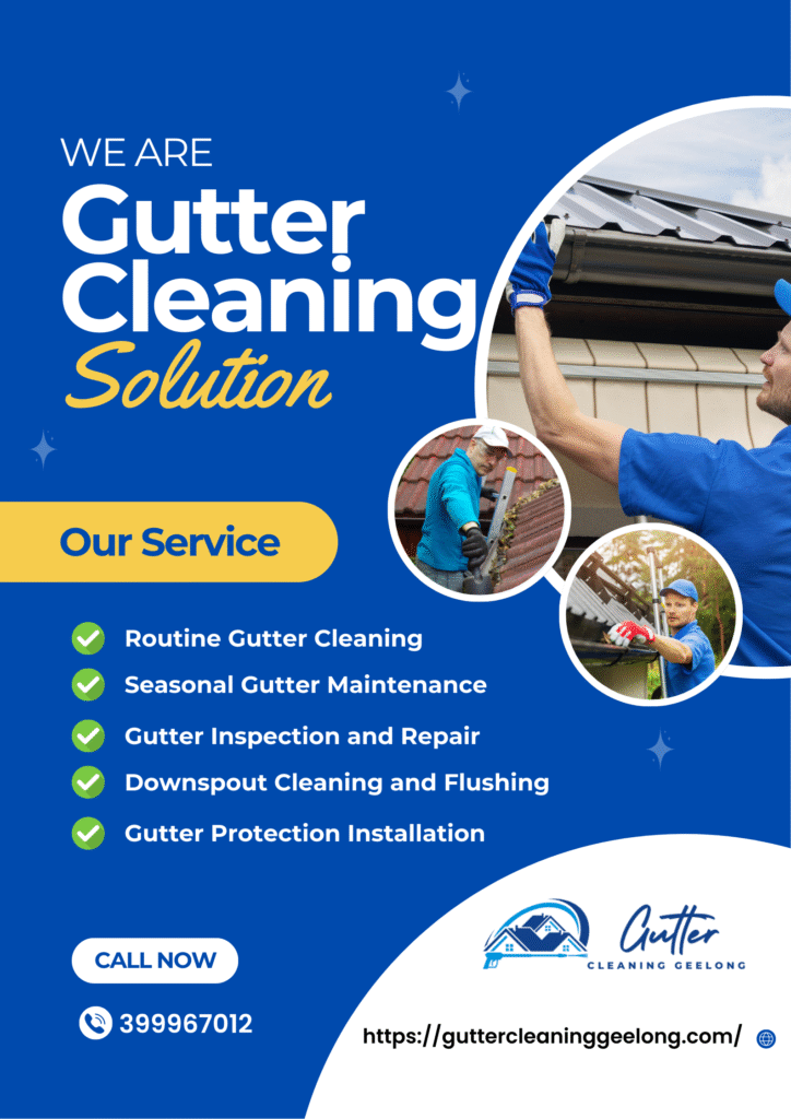 Gutter Cleaning Fyansford