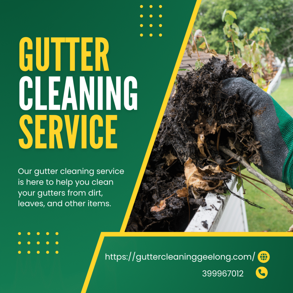 Gutter Cleaning Moolap