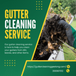 Gutter Cleaning Moolap