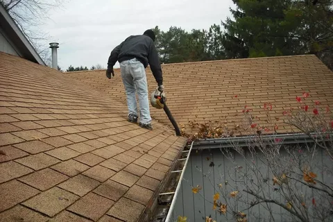 Gutter Cleaning Mount Duneed